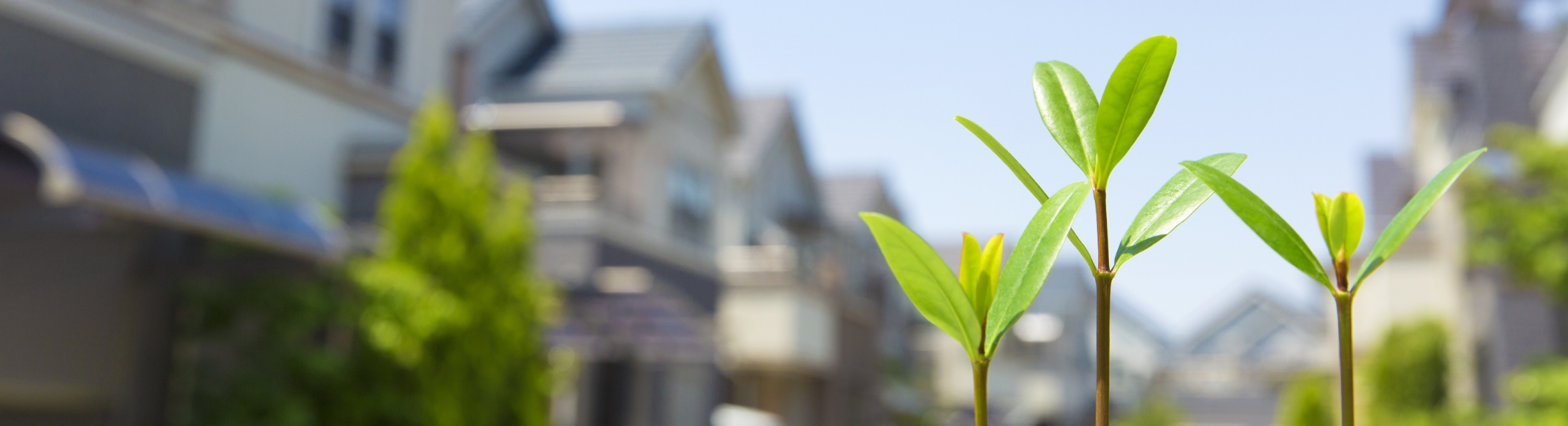img-banner01